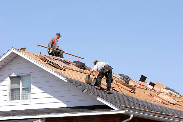 Skylights in Rosenberg, TX